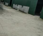 (出租) 廠房 出租 可分租可整租 配套齊全