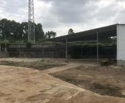 (出租) 新建房子，產證其全，交通便利，文羅互通下高速兩百米就到。