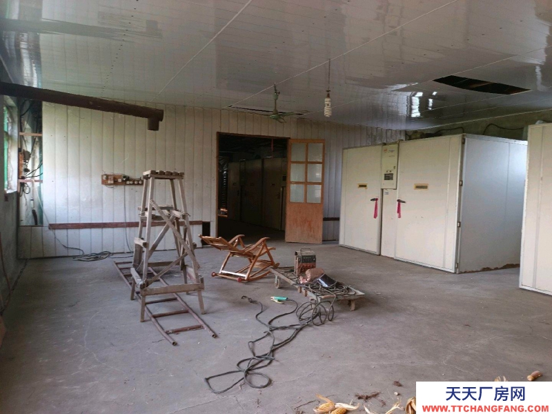 (出租)鞍山立山區 場地近3000平，廠房近800平。