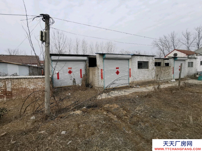 菏澤單縣位子好，適合和自用，兩處獨院，可做廠房、倉儲、居住等