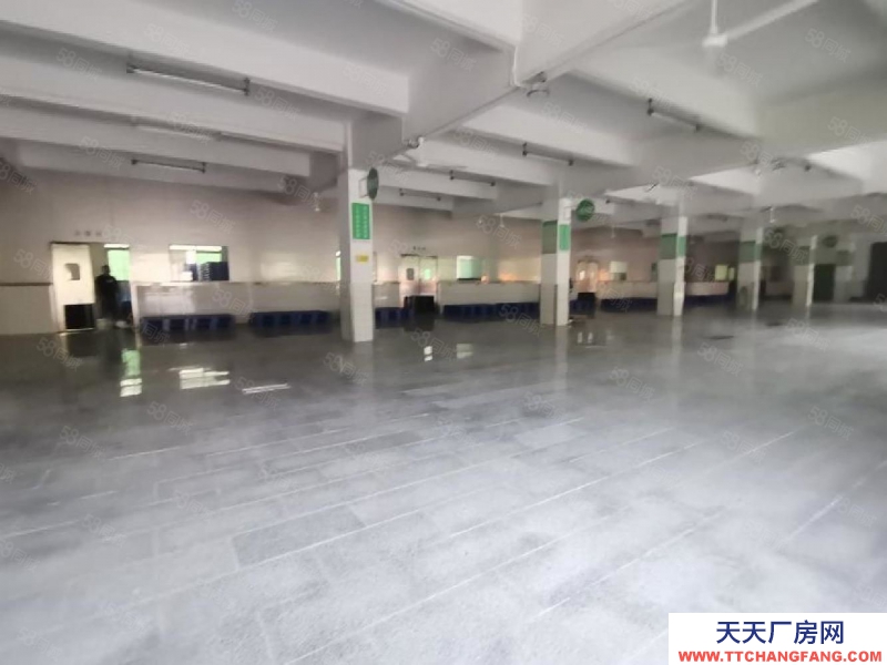 (出租) 深圳福田平湖白坭坑一樓1500平標(biāo)準(zhǔn)冷庫凍庫倉庫廠房出租