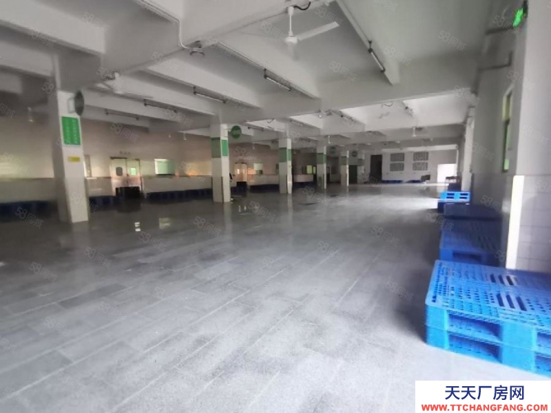 (出租) 深圳福田平湖白坭坑一樓1500平標(biāo)準(zhǔn)冷庫凍庫倉庫廠房出租