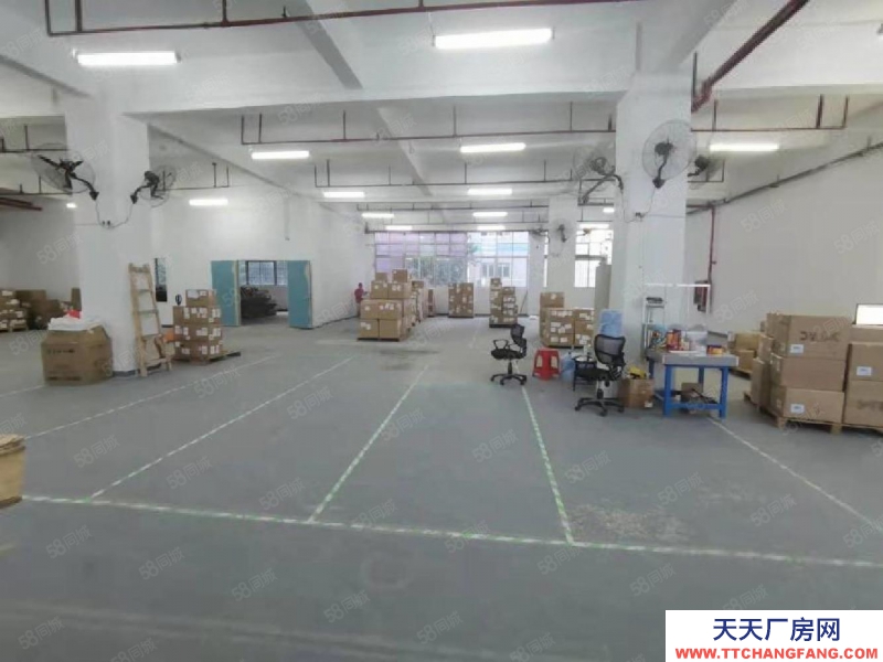 (出租) 深圳龍華油松靠坂田帶卸貨平臺(tái)一樓1000平廠(chǎng)房出租