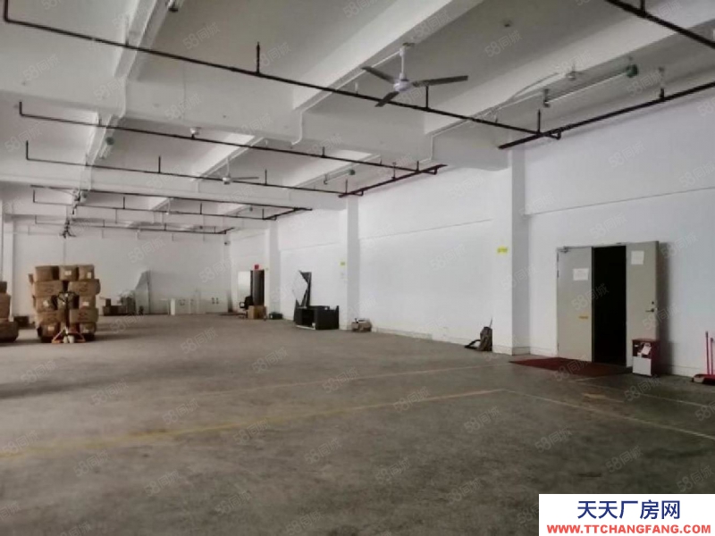 (出租) 深圳龍華大浪工業(yè)園1000平廠房出租精裝修大型園區(qū)可補貼可分租