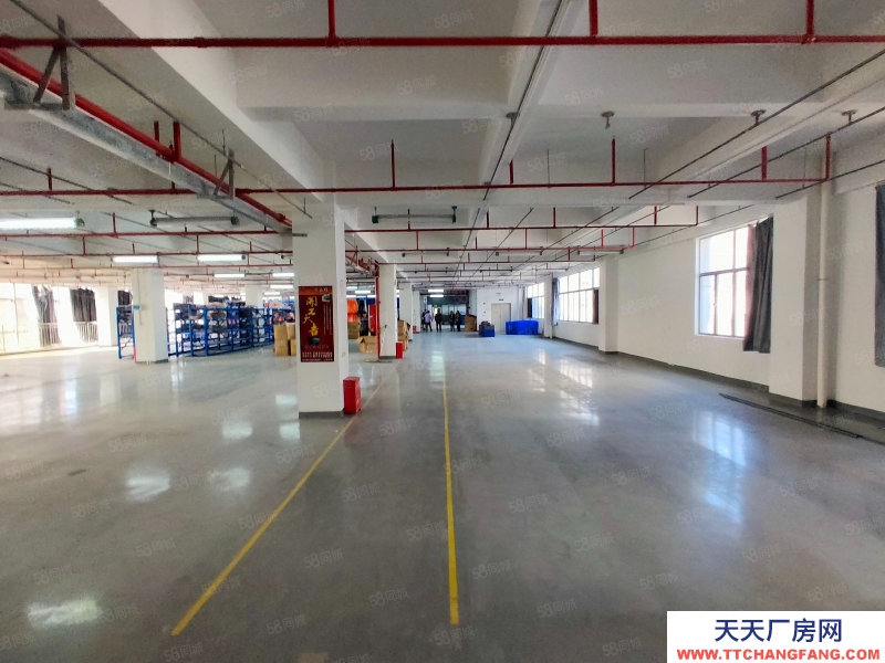 (出租) 深圳平湖輔城坳原房東精裝修獨院廠房4層8000平報價26元可分租