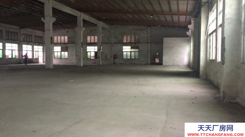 (出租) 深圳平湖清平高速出口獨(dú)棟3000平滴水8米鋼構(gòu)廠房出租分租空地大