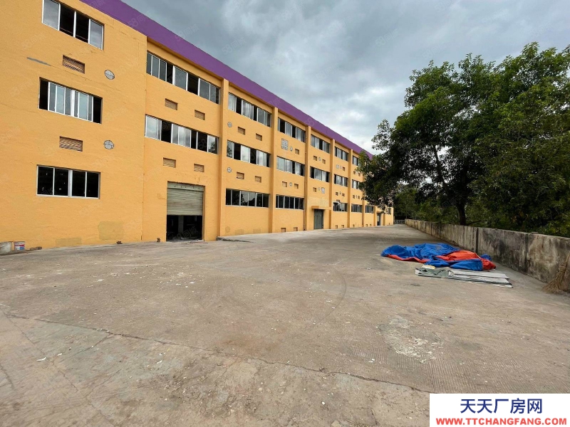 (出租) 坂田獨院獨棟2000平廠房出租 小獨棟 可分租 低價倉庫出租