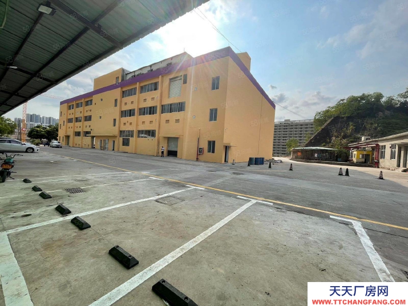 (出租) 坂田獨院獨棟2000平廠房出租 小獨棟 可分租 低價倉庫出租