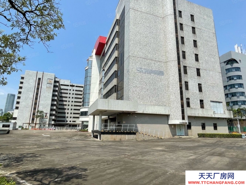 (出租) 深圳鹽田獨(dú)門(mén)獨(dú)院4萬(wàn)平方廠房倉(cāng)庫(kù)出租,空地大,帶貨臺(tái),可分租