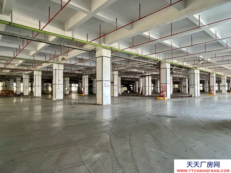 (出租) 深圳鹽田獨(dú)門(mén)獨(dú)院4萬(wàn)平方廠房倉(cāng)庫(kù)出租,空地大,帶貨臺(tái),可分租