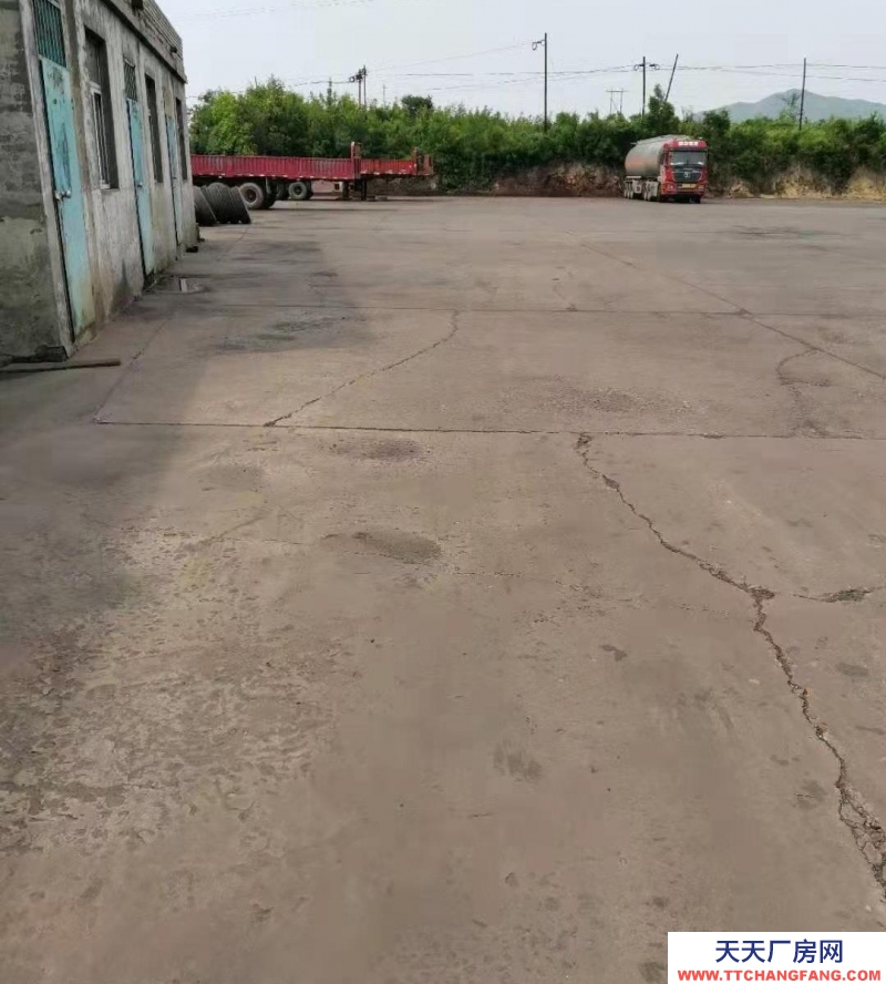 邯鄲 武安市 (出租) 交通便利 價格便宜 可以面談 占地30畝 洋灰面