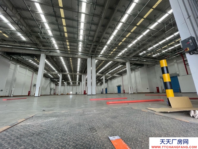 (出租) 深圳1000平方起鹽田一萬平方倉庫出租廠房分租低價高標倉庫空地大