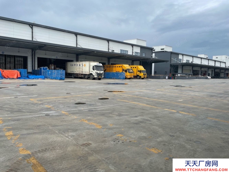 (出租) 深圳1000平方起鹽田一萬平方倉庫出租廠房分租低價高標倉庫空地大