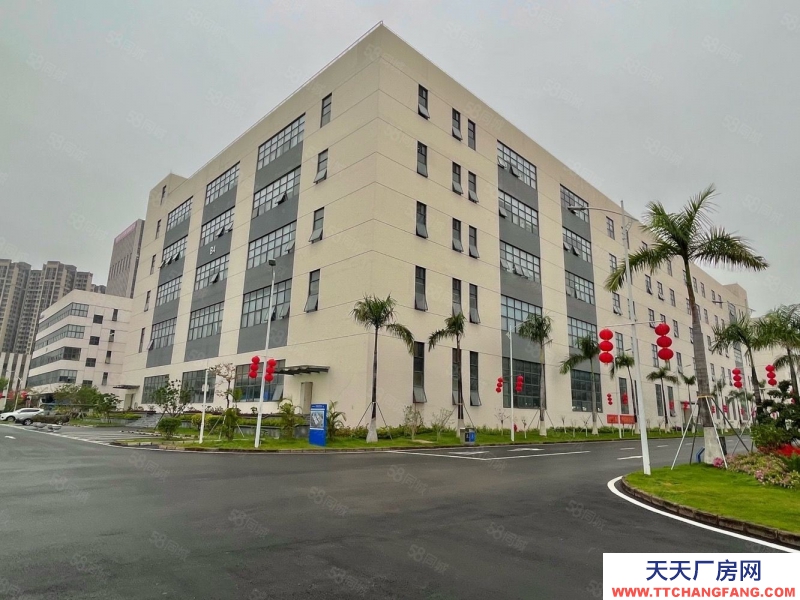 (出租) 深圳鹽田地鐵站高新項(xiàng)目獨(dú)棟12000平精裝修辦公室倉(cāng)庫(kù)廠(chǎng)房出租