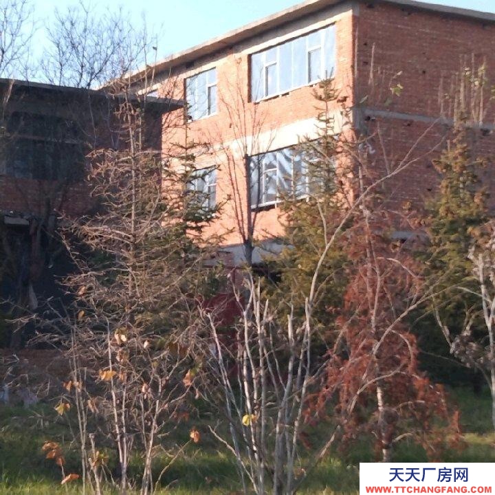 邯鄲 武安市 (出租) 西苑大街西，交通方便