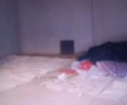 (出租) 車庫，倉庫，舉架高4米多。