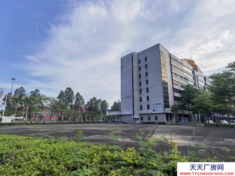 (出租) 深圳鹽田保稅區(qū)地鐵旁新出獨(dú)院紅本廠房出租,大小可分空地超大形象佳