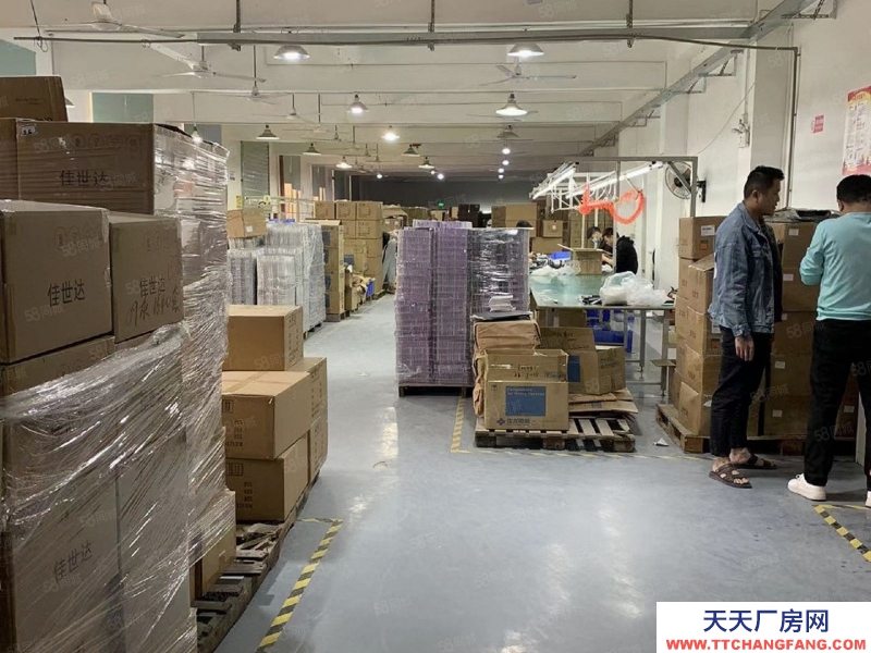 (出租) 深圳鹽田保稅區地鐵旁新出獨院紅本廠房出租,大小可分空地超大形象佳