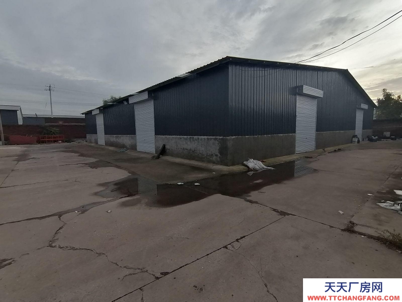 邯鄲 武安市 (出租) 武安北環大型倉庫交通便利