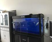 (出租) 位于南四環(huán)出口處,育民路