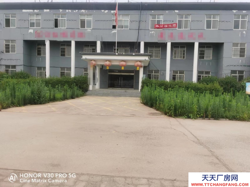 菏澤出租鄄城城區鄄城市區