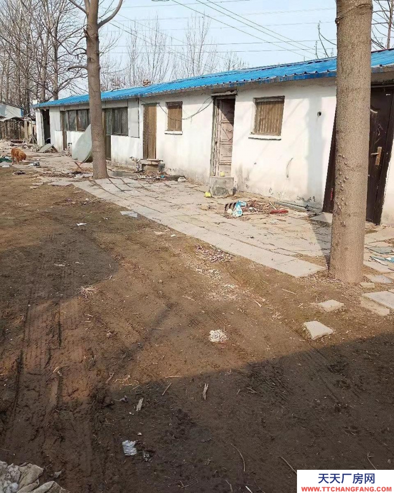 菏澤鄄城有廠房一個，房子九間，果樹180顆，，適合做飯店，及其他。