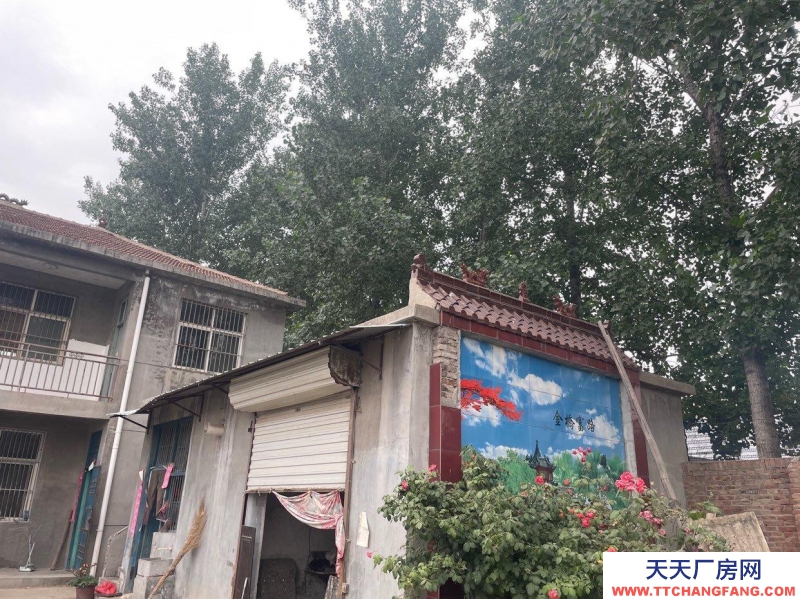 菏澤鄄城交通便利，大面積獨院