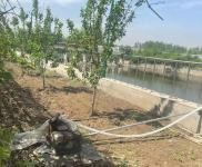 (出售) 出售二道蓮花山單獨小院