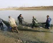 (出售) 多個廠房、平房出租，價格優惠，交通便利