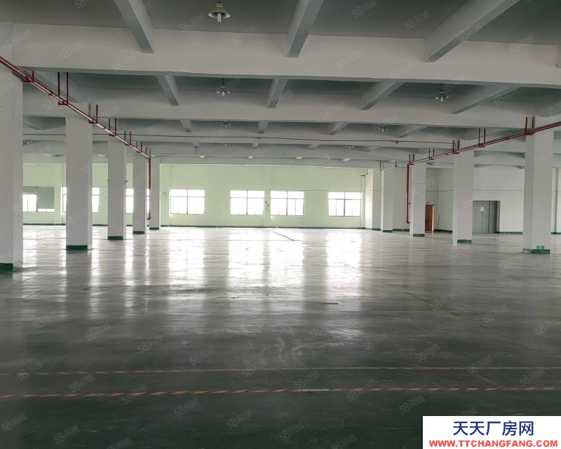 嘉興平湖(出租) 平湖開發區12000平方雙層標準廠房,首層高6米,可分租