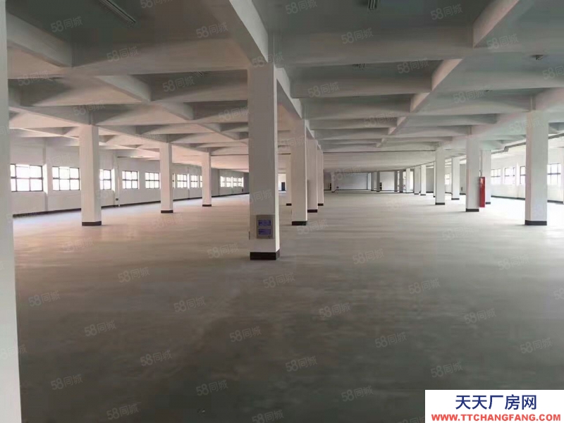 嘉興平湖(出租) 服裝城服裝展廳直播間300平500平800平出租