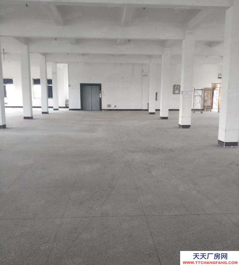 嘉興平湖(出租) 九龍建材市場附近一樓450平方倉庫，租金22元一平