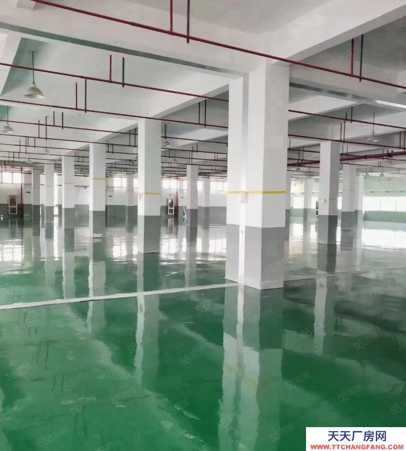 嘉興平湖(出售) 平湖周邊20畝出售,廠房面積17000平方,廠房形象好,