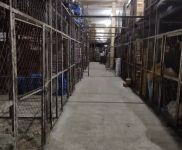 (出租) 冷庫出租！云倉托管服務(wù)可分租設(shè)備全套，綠園區(qū)