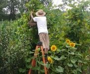 (出售) 可,養殖,置換,環境好,交通方便,