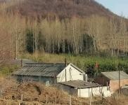 (出售) 可，養殖，置換，環境好，交通方便，