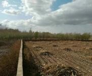 (出售) 出售自家農場，可養殖，白城通榆縣興隆山鎮旅游區附近