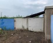 (出租) 使用權7000平米土果園出售出租