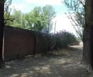 (出租) 農安廠房大院出租出租