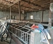 (出租) 豬廠房出租,總面積3000多平,適合養(yǎng)殖。