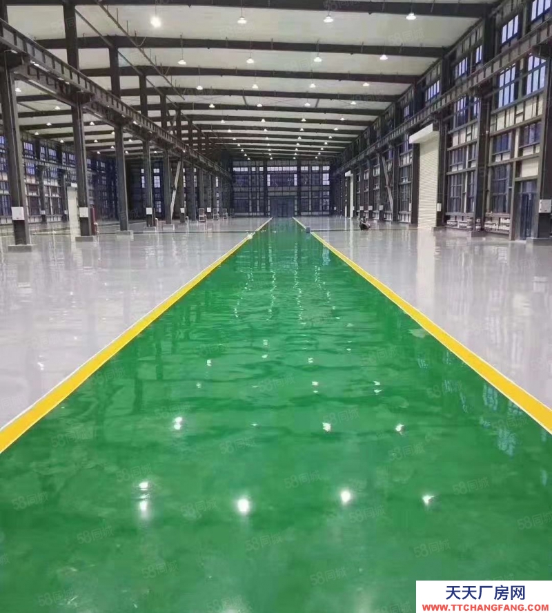 嘉興平湖(出售) 全新獨(dú)棟廠(chǎng)房出售，面積2000平至5500平不等多棟出售