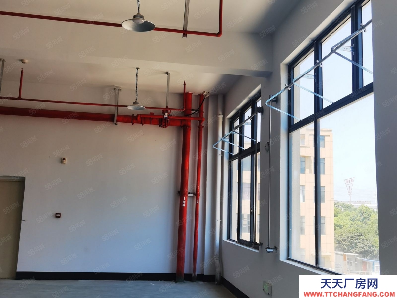 嘉興平湖(出售) 出售平湖周邊4畝廠房2500萬,全新房