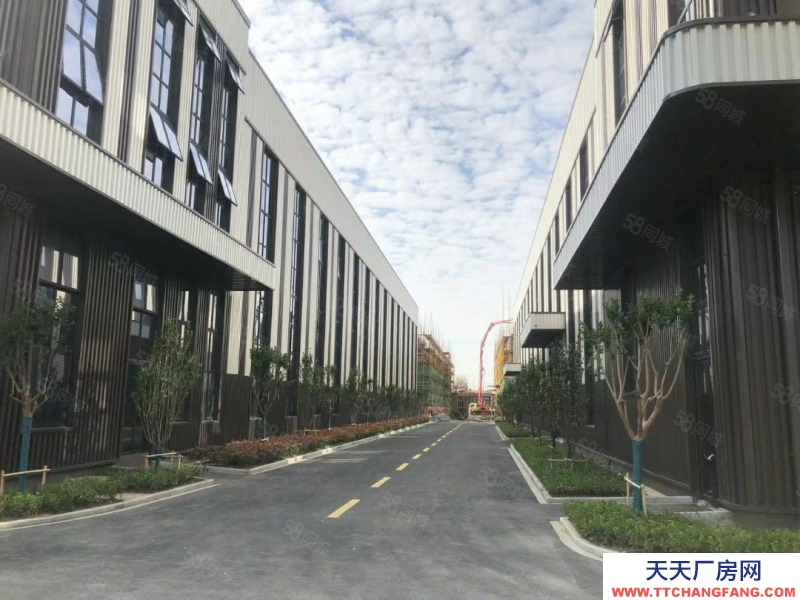 嘉興平湖(出售) 平湖11米層高廠房出售 首付2成租金回5 個人可購買