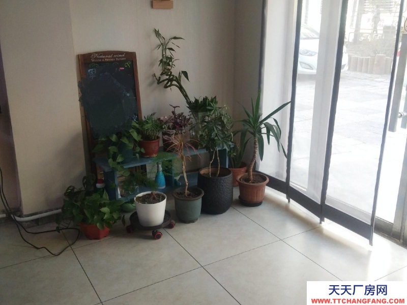 (出售)錦州凌河區(qū) 低價(jià)售巷內(nèi)門(mén)市位置好