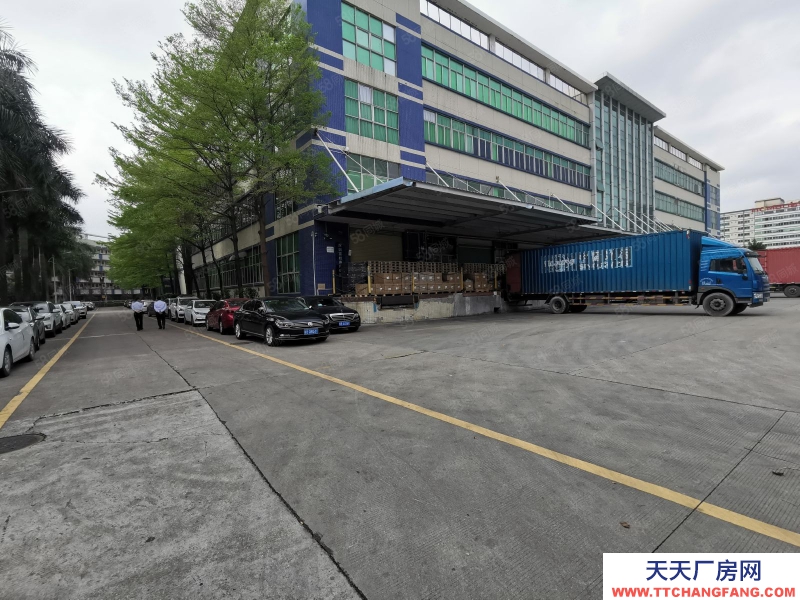 (出租) 深圳福永紅本20000平方大型園區物流招租1000平方起分租