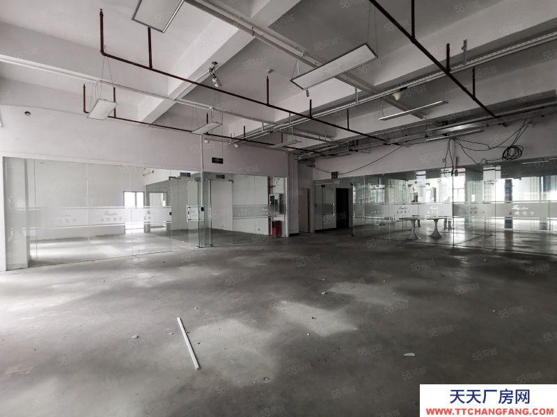 (出租) 深圳福永紅本20000平方大型園區物流招租1000平方起分租