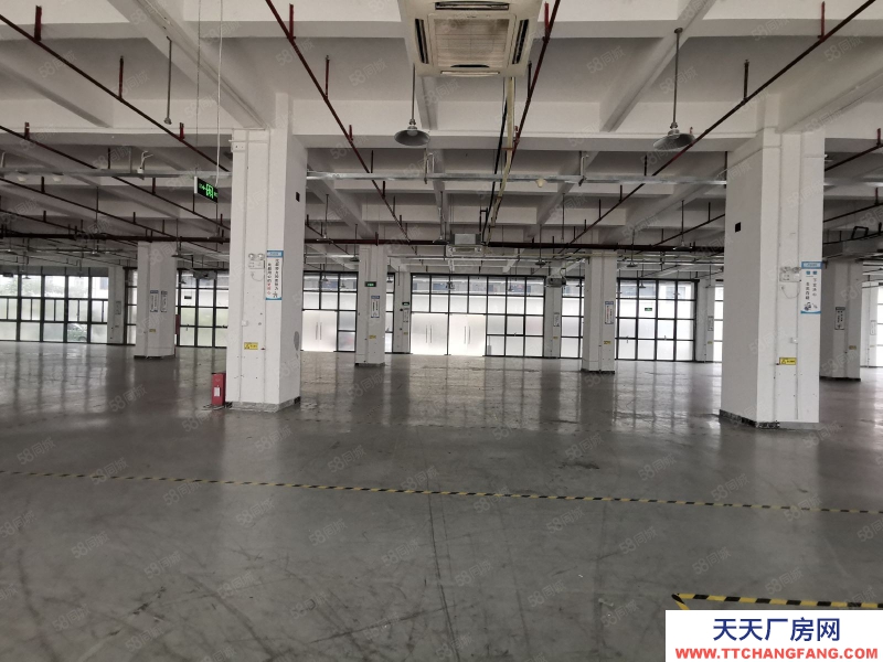 (出租) 深圳福永紅本20000平方大型園區物流招租1000平方起分租