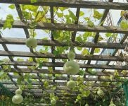 出租,房屋整潔,交通便利。