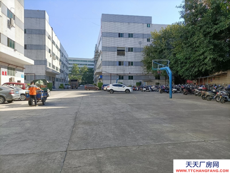 (出租) 深圳一樓小面積物流倉(cāng)庫(kù)出租福永新和大型園區(qū)精裝修600平廠房出租