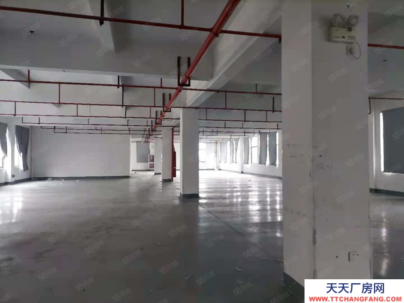 嘉興桐鄉(出租) 濮院2990平米廠房倉庫出租，可分租800平